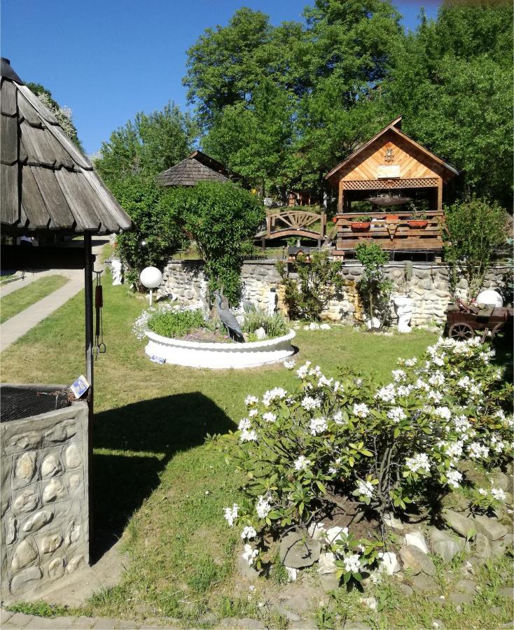 Pensiunea Nagy Vişeu de Sus Exteriör bild